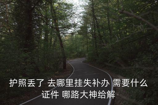 護(hù)照丟了 去哪里掛失補(bǔ)辦 需要什么證件 哪路大神給解