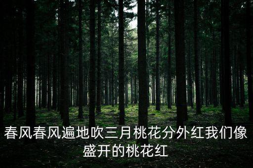 春風春風遍地吹三月桃花分外紅我們像盛開的桃花紅
