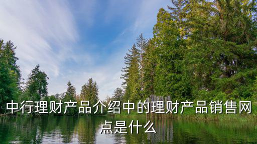 銷售網(wǎng)點，營業(yè)網(wǎng)點是什么