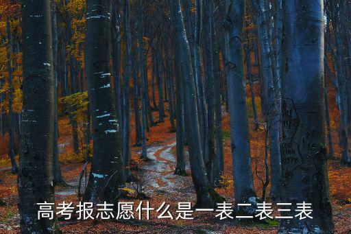 高考報志愿什么是一表二表三表