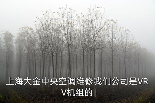 上海大金中央空調(diào)維修我們公司是VRV機組的