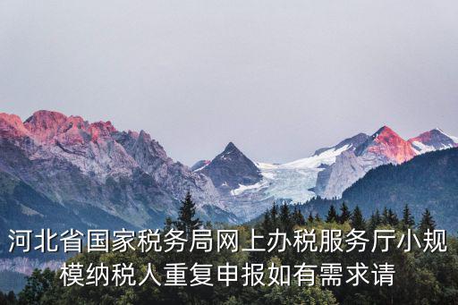 河北省國家稅務局網上辦稅服務廳小規模納稅人重復申報如有需求請