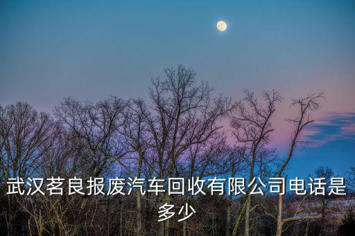 武漢茗良報廢汽車回收有限公司電話是多少