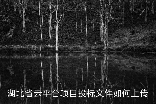 湖北省云平臺(tái)項(xiàng)目投標(biāo)文件如何上傳