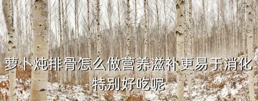 蘿卜燜排骨，蘿卜燜排骨的制作方法一