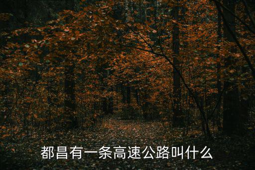 都昌有一條高速公路叫什么