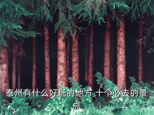泰州有什么好玩的地方 十個必去的景點