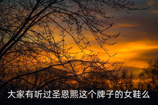 圣恩熙，大家有聽過圣恩熙這個牌子的女鞋么