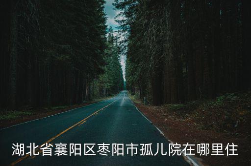 湖北省襄陽區棗陽市孤兒院在哪里住