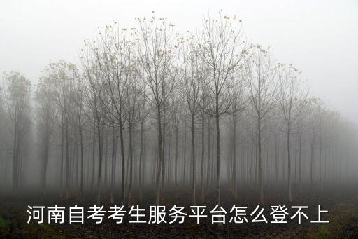 河南自考考生服務平臺怎么登不上
