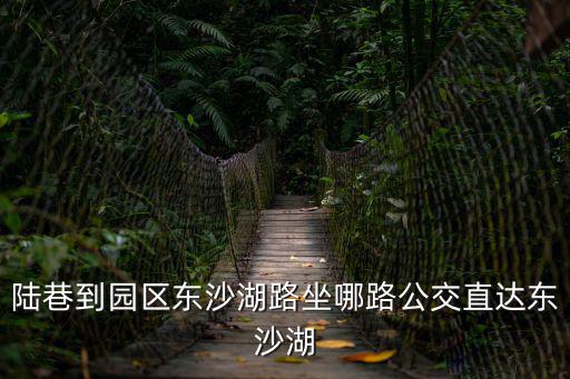 陸巷到園區(qū)東沙湖路坐哪路公交直達(dá)東沙湖