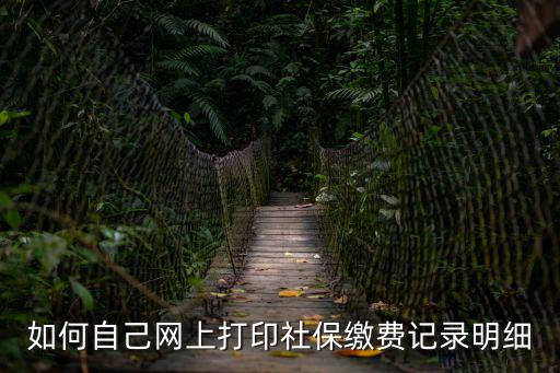 如何自己網(wǎng)上打印社保繳費記錄明細