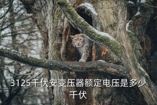 3125，3125的近似數(shù)是多少