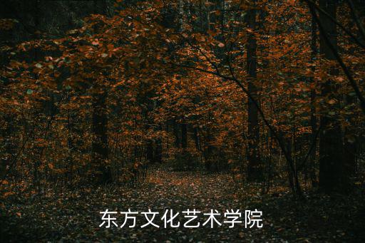 東方文化藝術(shù)學(xué)院