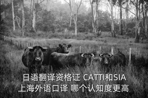 日語翻譯資格證 CATTI和SIA上海外語口譯 哪個認知度更高