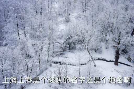 上海上港是個球隊的名字還是個地名啊