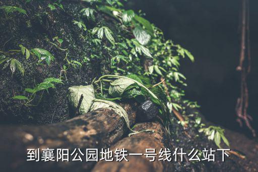 到襄陽公園地鐵一號線什么站下