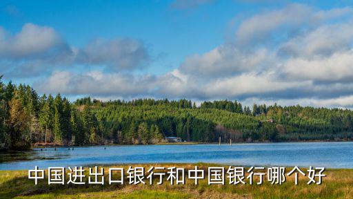 中國(guó)進(jìn)出口銀行和中國(guó)銀行哪個(gè)好
