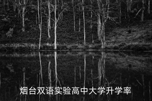 煙臺(tái)雙語實(shí)驗(yàn)高中大學(xué)升學(xué)率