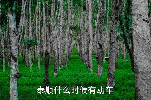 溫州泰順，溫州的泰順怎么樣