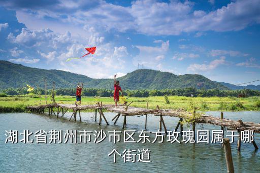 湖北省荊州市沙市區(qū)東方玫瑰園屬于哪個街道