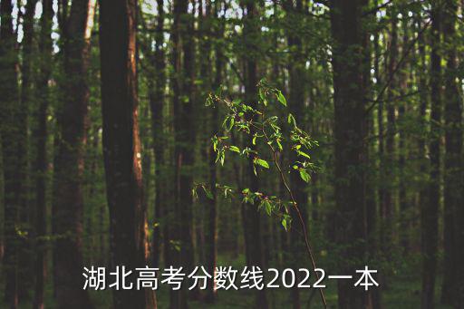 湖北高考分數(shù)線2022一本