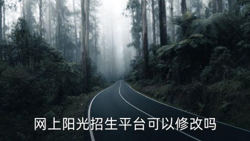 網上陽光招生平臺可以修改嗎