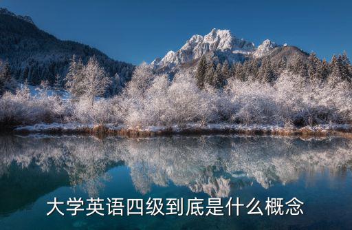 大學英語四級到底是什么概念