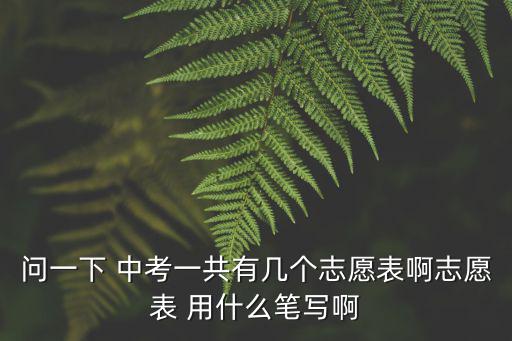 問一下 中考一共有幾個(gè)志愿表啊志愿表 用什么筆寫啊