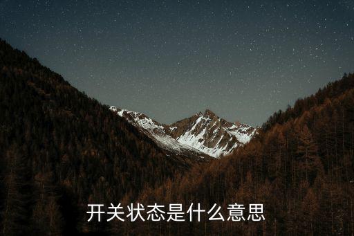 開關狀態是什么意思