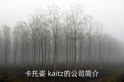卡托姿 kaitz的公司簡介
