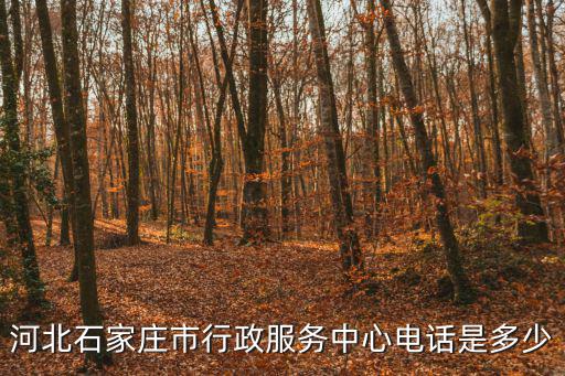 河北石家莊市行政服務中心電話是多少