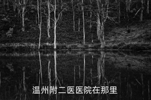 附二醫(yī)，溫州附二醫(yī)醫(yī)院在那里