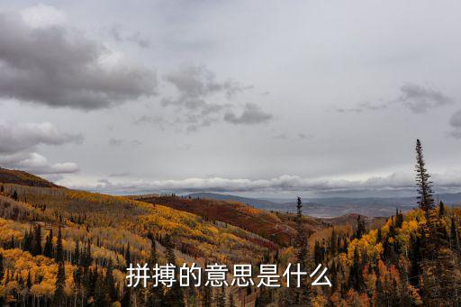 拼搏的意思是什么