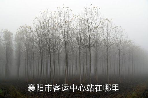 襄陽市客運中心站在哪里