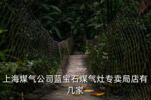 上海煤氣公司藍(lán)寶石煤氣灶專賣局店有幾家