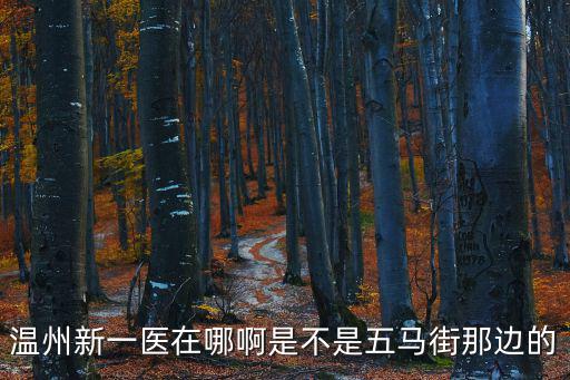 溫州新一醫在哪啊是不是五馬街那邊的