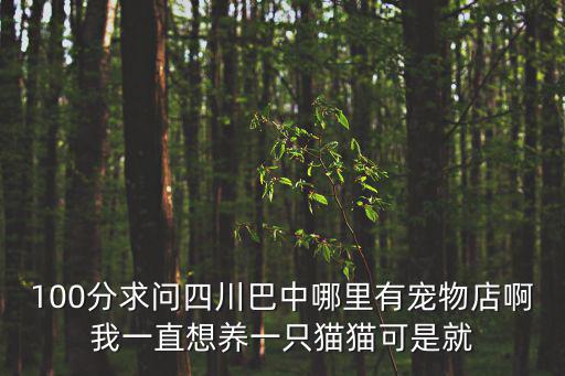 100分求問四川巴中哪里有寵物店啊我一直想養一只貓貓可是就
