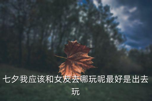 七夕我應該和女友去哪玩呢最好是出去玩
