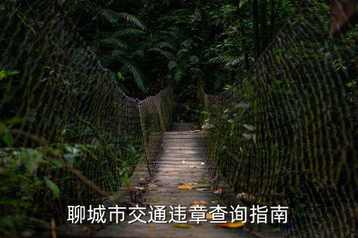 聊城市交通違章查詢(xún)指南