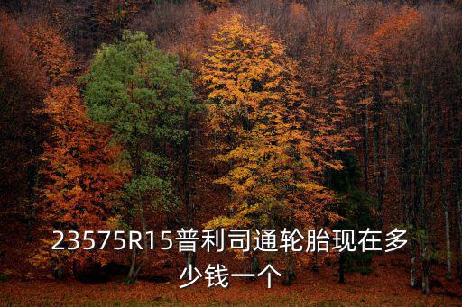 d689，23575R15普利司通輪胎現(xiàn)在多少錢一個