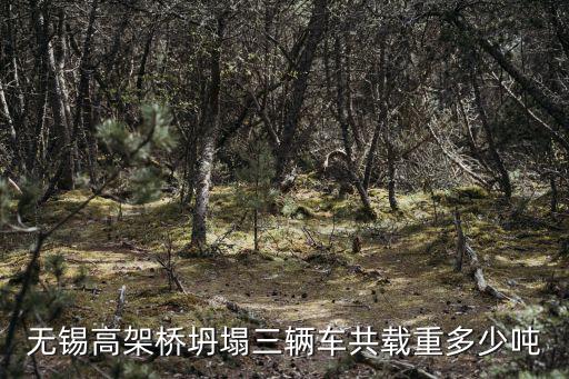 無錫高架橋坍塌，無錫高架倒塌了這個(gè)如果是貨車超載造成的橋架倒塌下面被壓的車