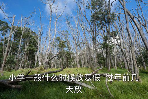 小學一般什么時候放寒假  過年前幾天放