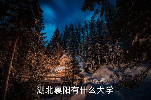 湖北襄陽有什么大學