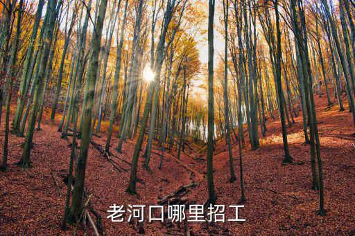 老河口哪里招工