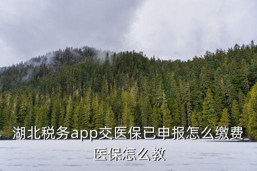 湖北稅務app交醫保已申報怎么繳費醫保怎么教