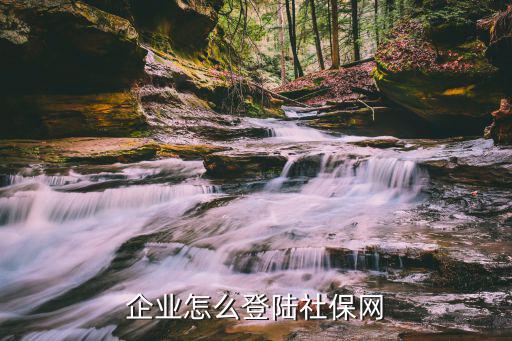 企業怎么登陸社保網