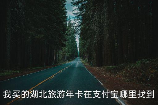 我買的湖北旅游年卡在支付寶哪里找到