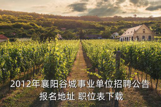 2012年襄陽谷城事業(yè)單位招聘公告 報(bào)名地址 職位表下載