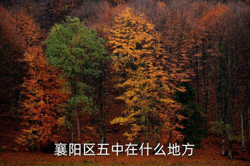 襄陽區五中在什么地方